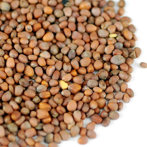 Handy Pantry resealable seed pouch keeps seeds fresh for ongoing sprouting.