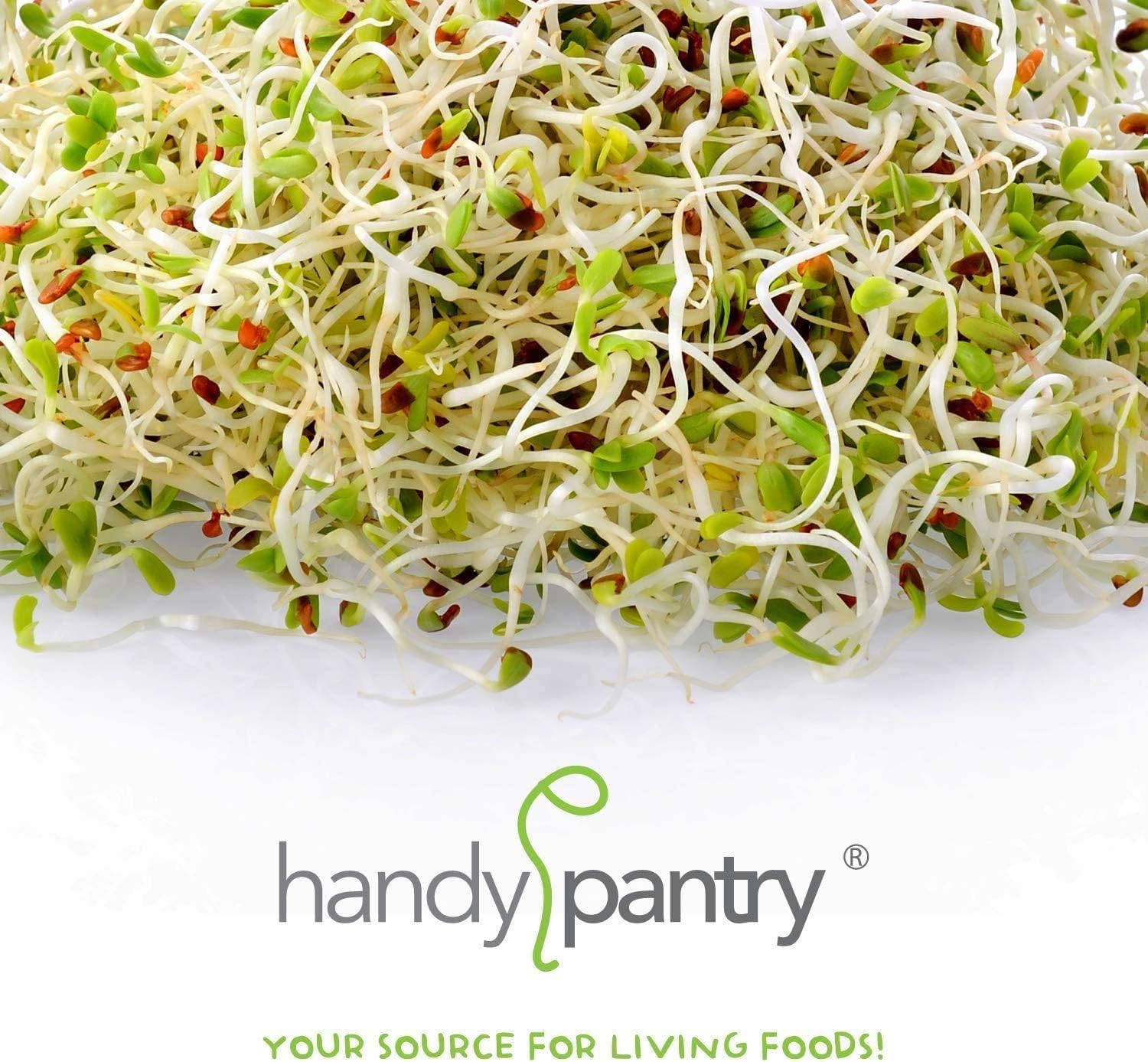 Handy Pantry reusable sprouting lid BPA-free with quart jar setup