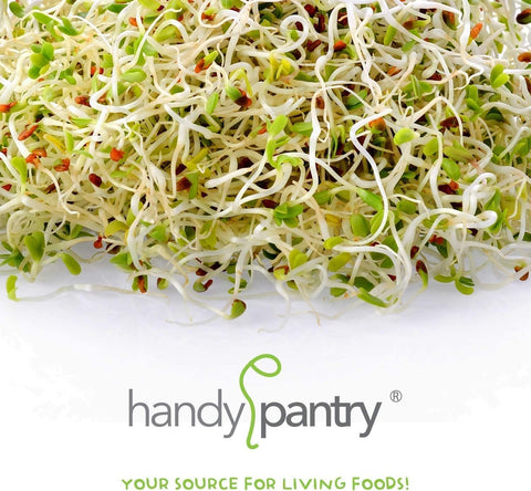 Handy Pantry reusable sprouting lid BPA-free with quart jar setup