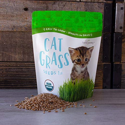 Handy Pantry safe and clean option for homes with pets.