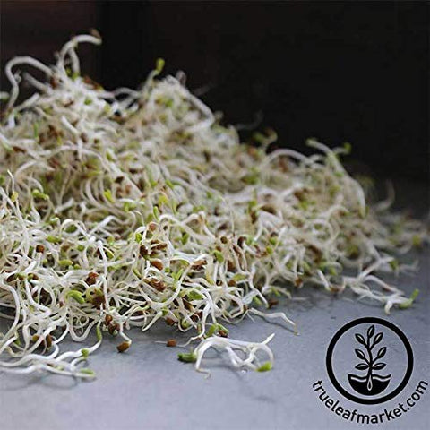 Handy Pantry sprouting kit-ready seeds fit jars and microgreens trays.