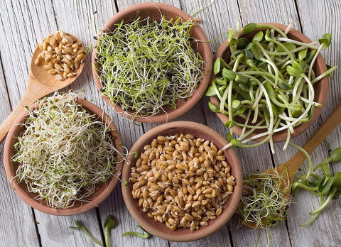 Handy Pantry sweet protein mix sprouts pack adds protein to meals