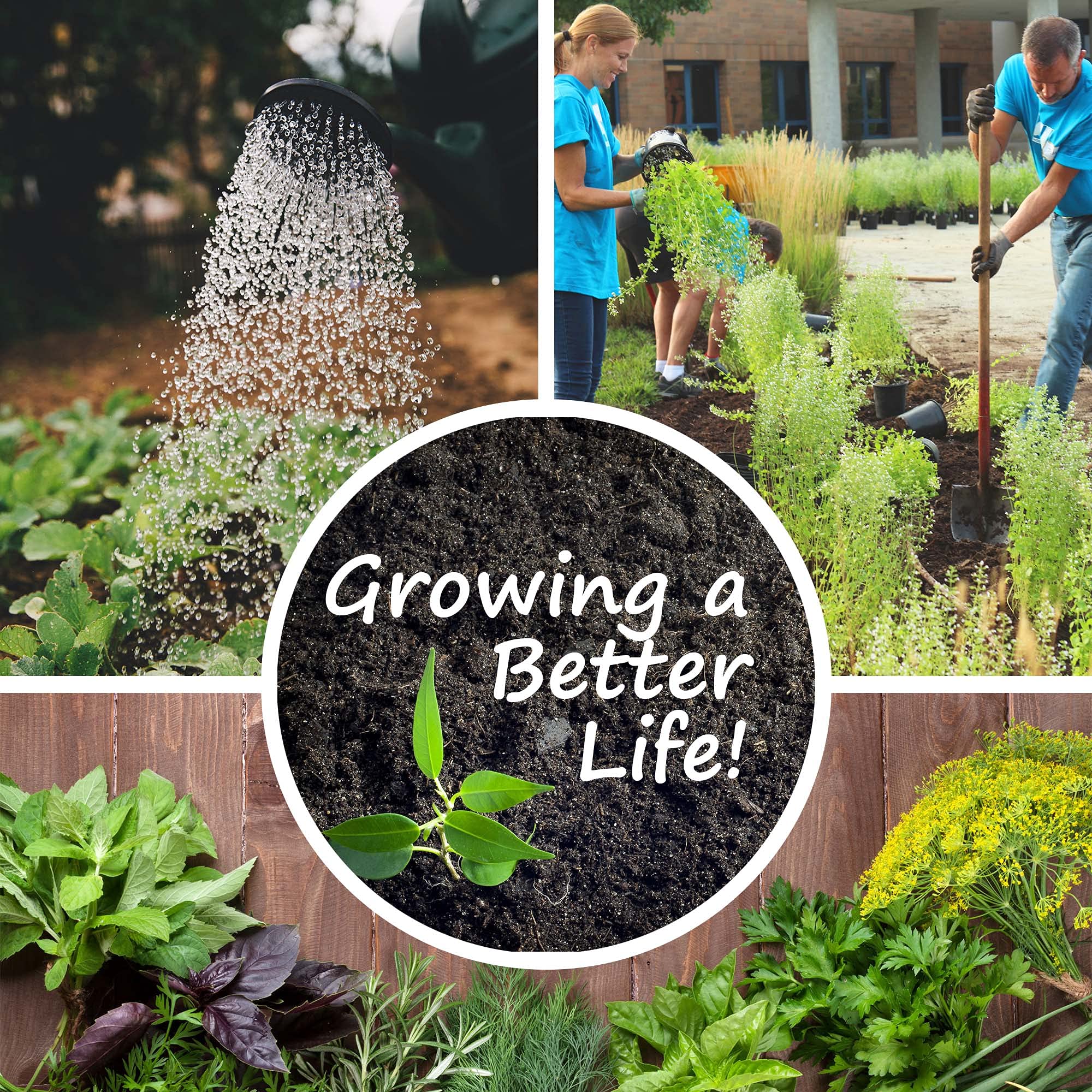 US-based Handy Pantry customer support banner for seed purchases