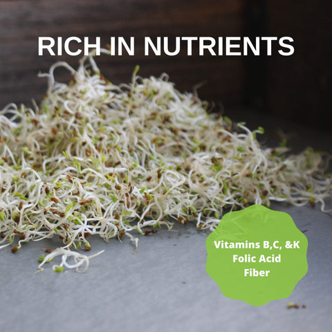 Handy Pantry USA-made seeds supported by US-based service.