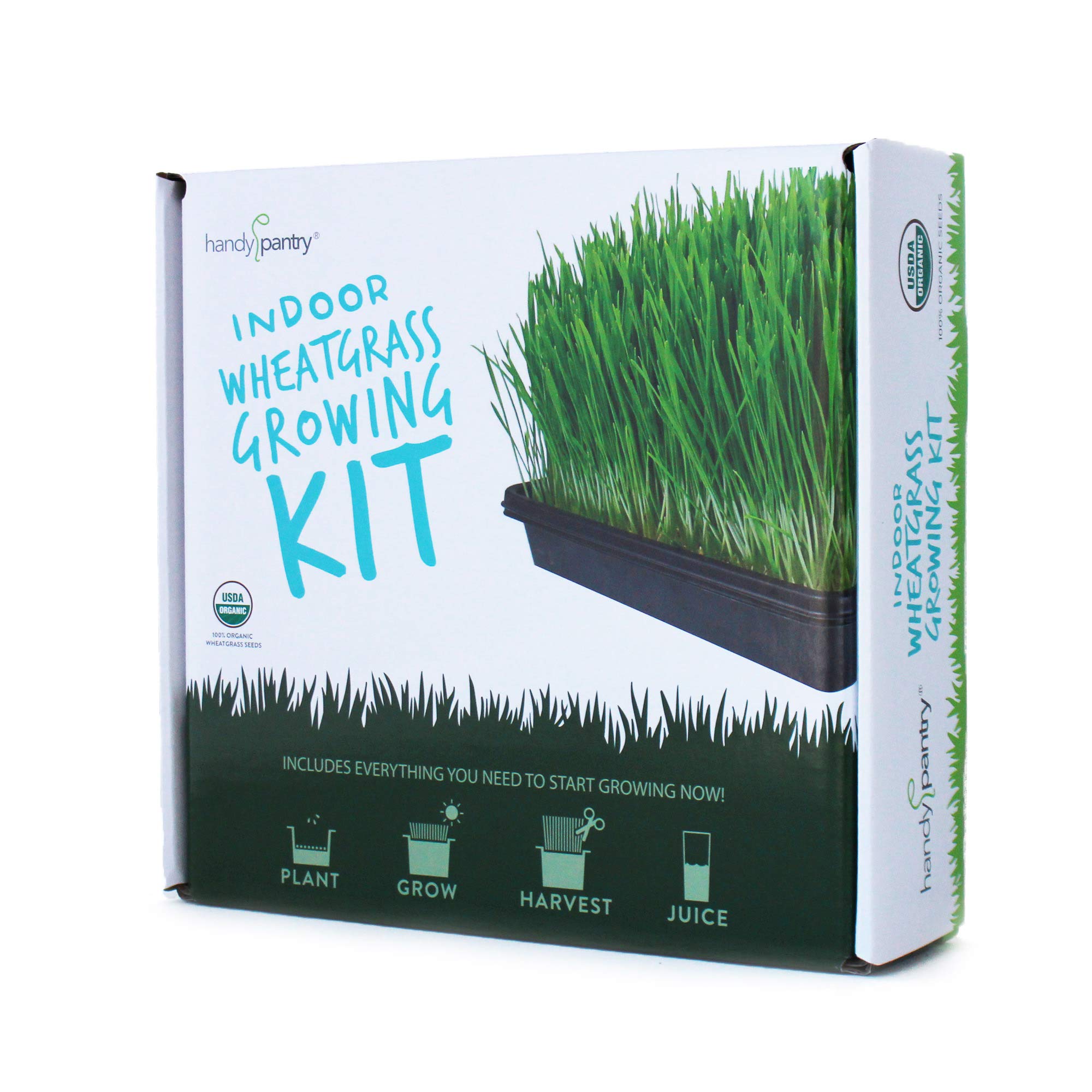 Handy Pantry organic wheatgrass seeds in pre-measured bags for easy planting.