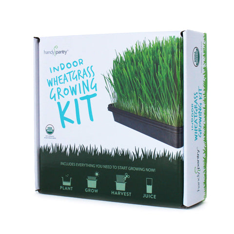 Handy Pantry organic wheatgrass seeds in pre-measured bags for easy planting.