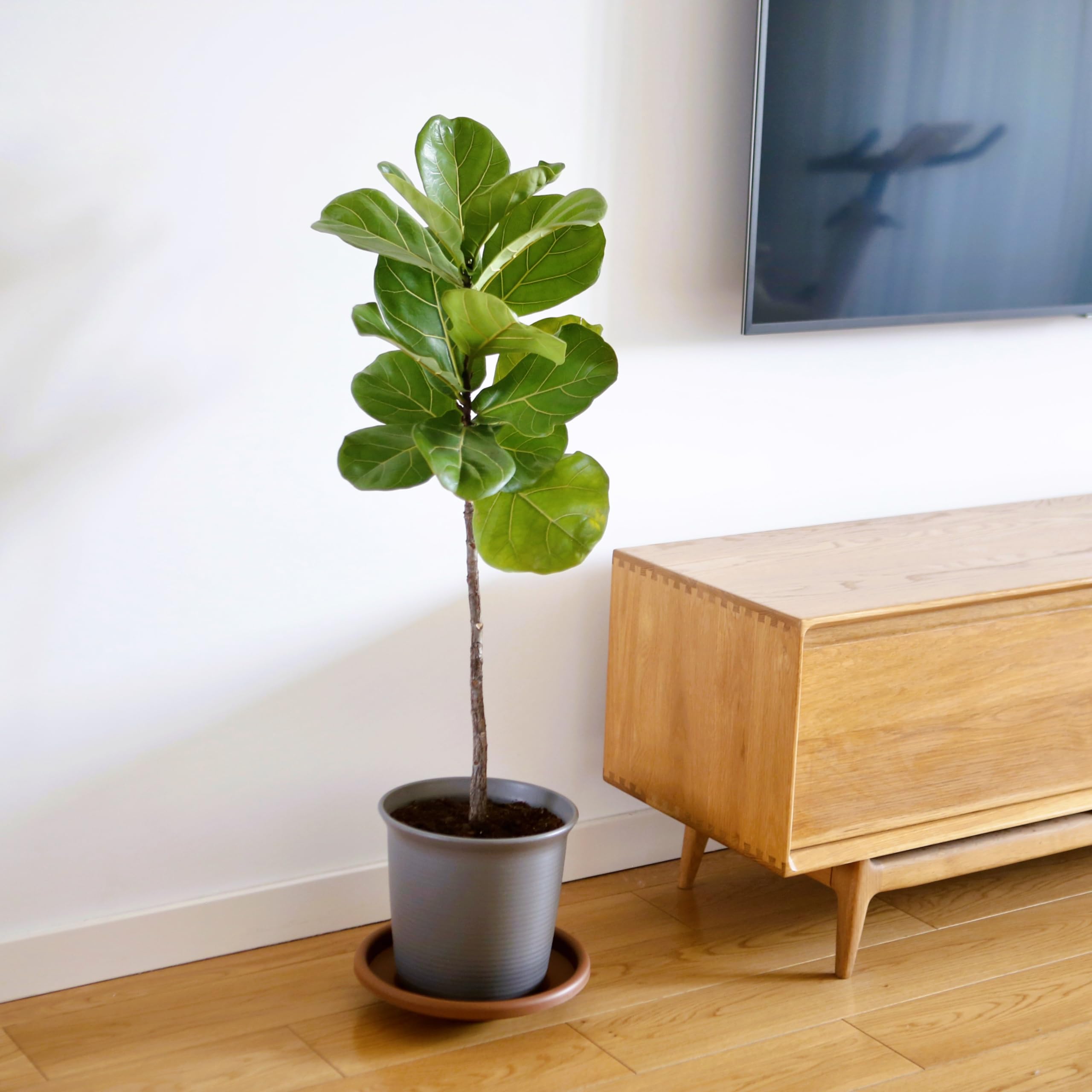 Hanizi bowl interior emphasizes easy cleaning and quick filling.