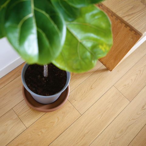 Hanizi bowl features a stable base for garden placement.
