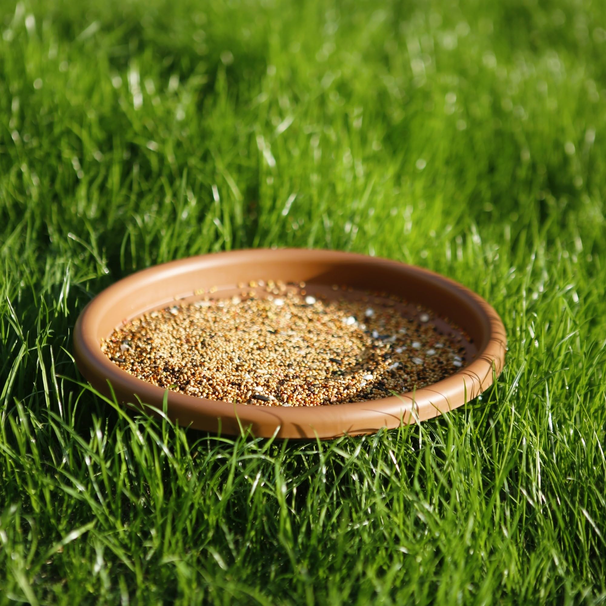 Hanizi replacement bowls come in a convenient two-pack for easy swaps.