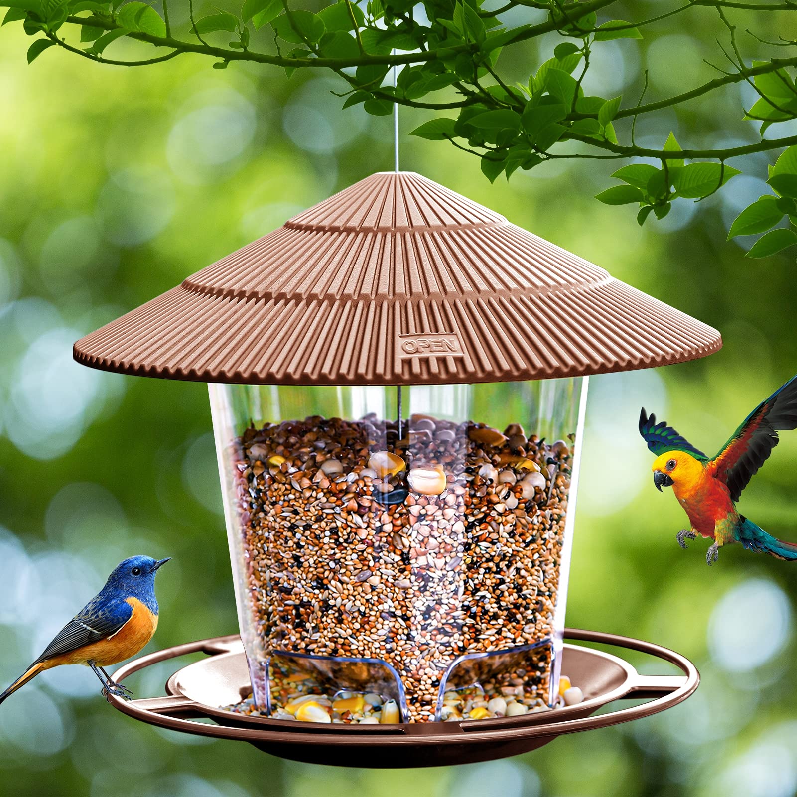 Clear plastic container of Hanizi feeder allows quick seed checks at a glance.