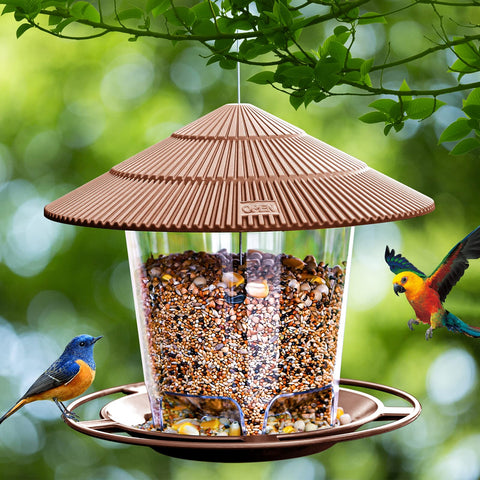 Clear plastic container of Hanizi feeder allows quick seed checks at a glance.
