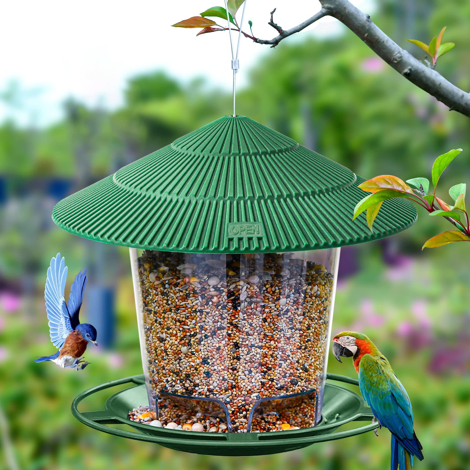 Green Hanizi feeder with clear reservoir, easy seed monitoring and refills.