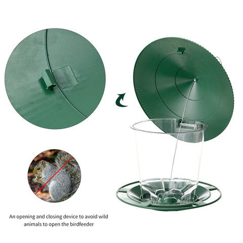 Clear plastic body shows seed level for easy refills and monitoring.