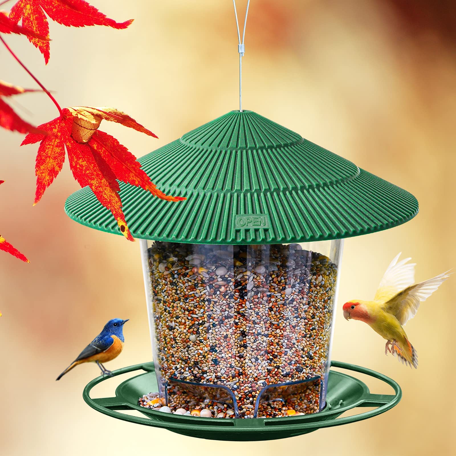 Tray with drainage holes prevents water accumulation and keeps seeds dry.