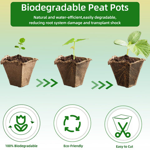Hanmsen seed starter kit improves germination with balanced moisture