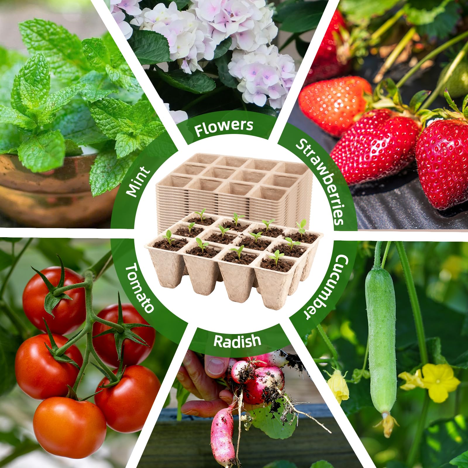 Includes 20 plant labels and 2 transplanting tools for organization