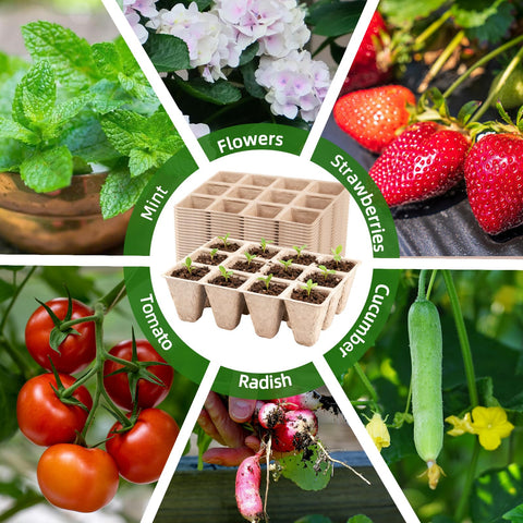 Includes 20 plant labels and 2 transplanting tools for organization