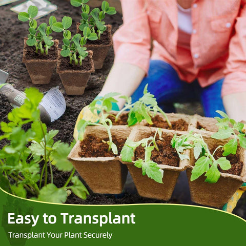Hanmsen kit supports flowers, herbs and vegetables in one setup