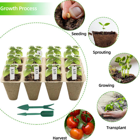 Hanmsen seed starter trays minimize transplant shock for seedlings