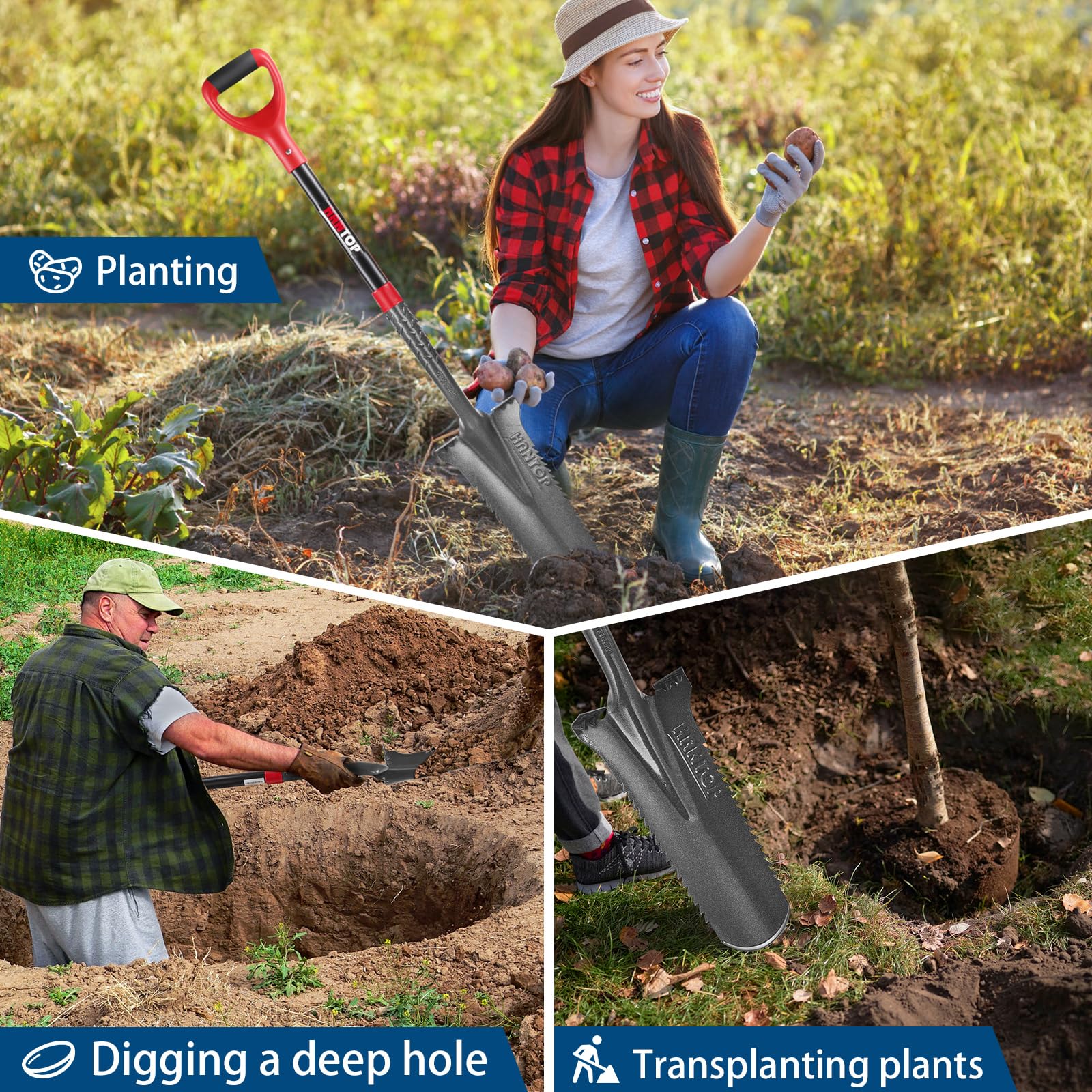 HANTOP spade used for transplanting a live tree with precision