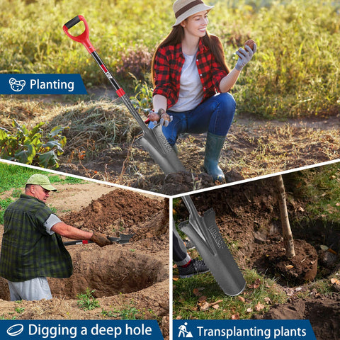 HANTOP spade used for transplanting a live tree with precision