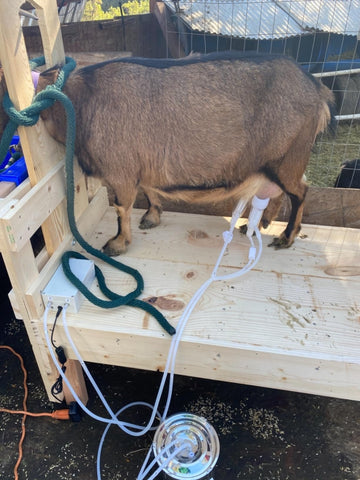 Hantop Goat Milking Machine assembly step image captures quick setup in seconds.