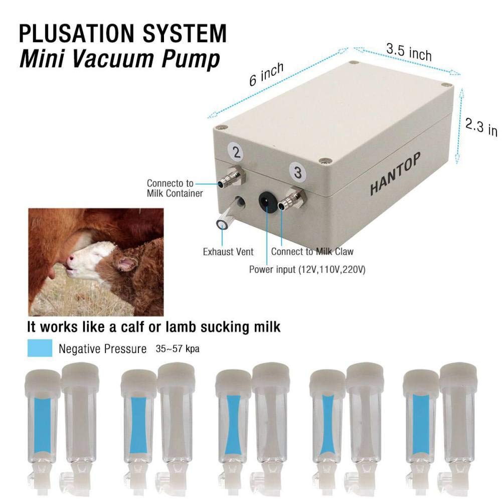 Hantop Goat Milking Machine liner close-up emphasizes hygienic silicone components for clean milking.
