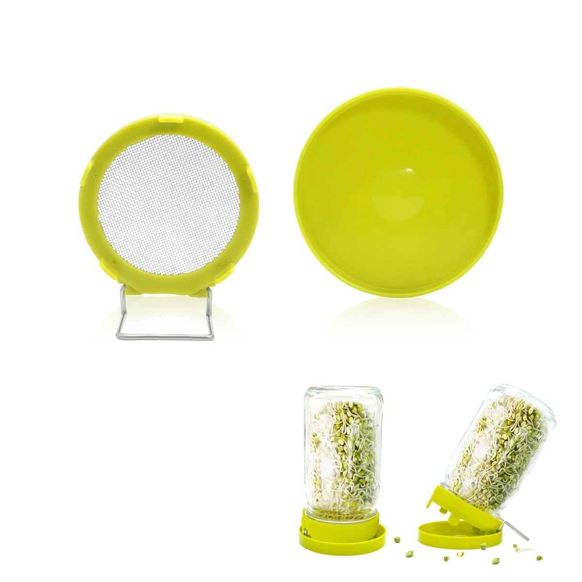 HANTUSWUS wide-mouth sprouting kit front view for easy countertop sprouting