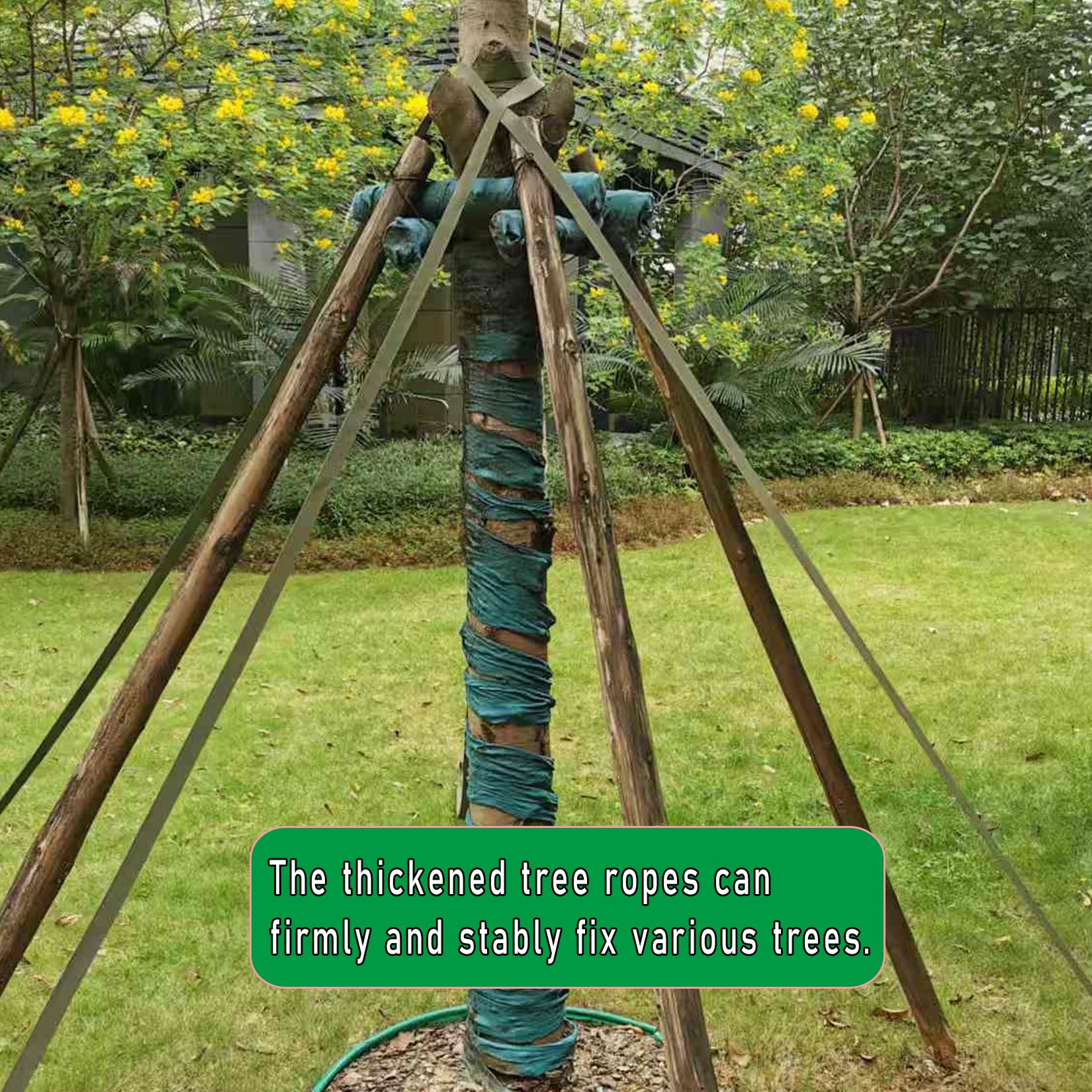 HanyHere 65-6-feet-length-tree-tie offers ample slack for adjustments
