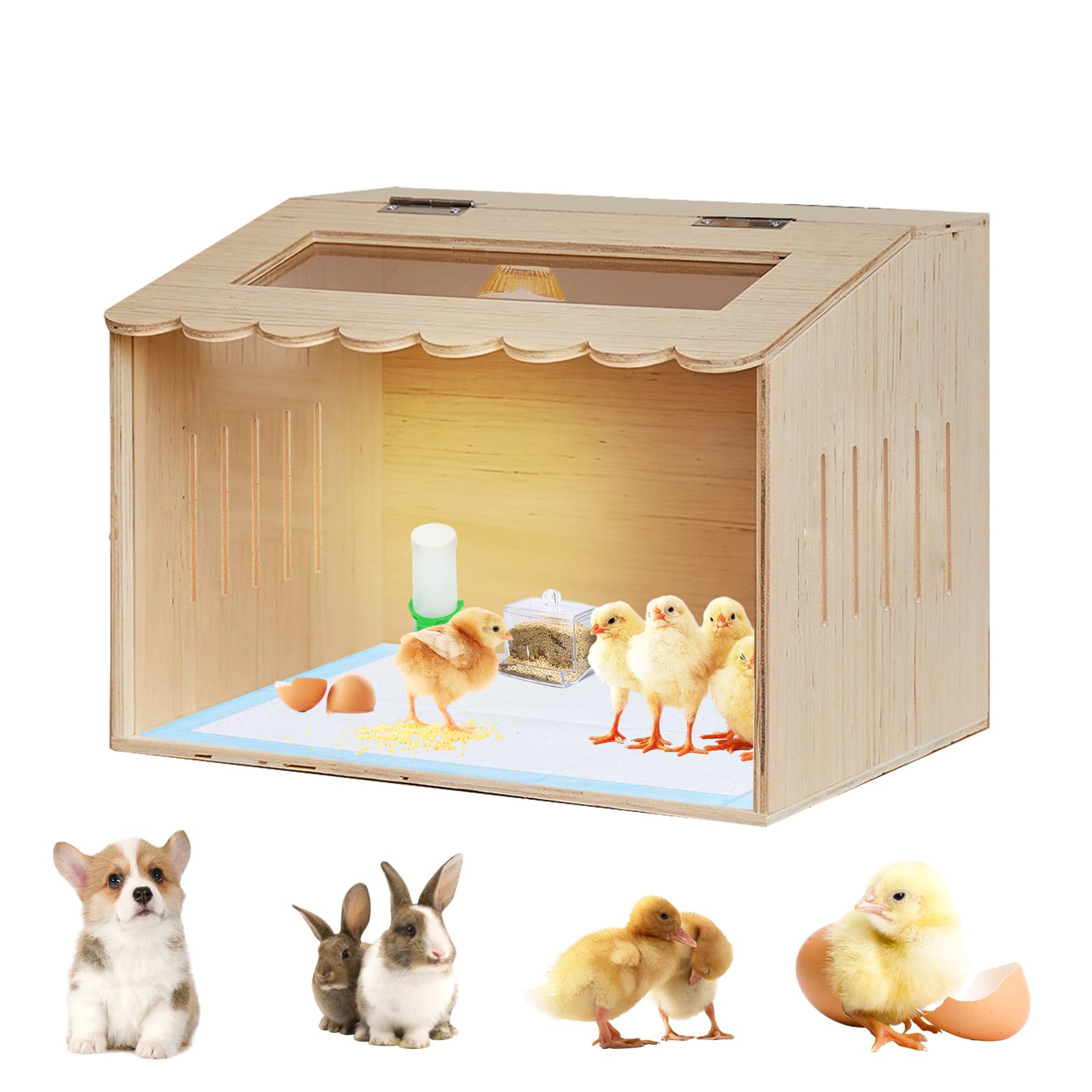 HaoCpetslian wooden brooder box with heating lamp for stable chick warmth.