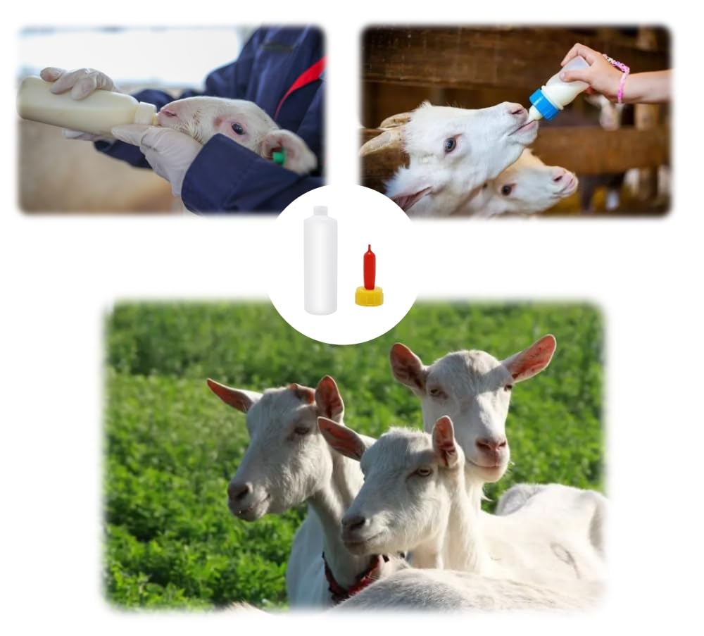 Haokixin goat bottle lamb-kid feeding design enables safe daytime feeding.