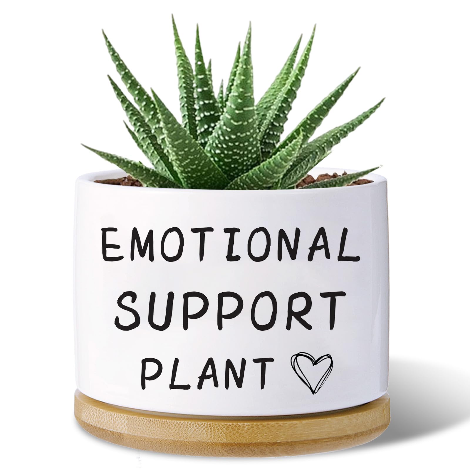 Haooxinwei emotional support plant pot ceramic with drainage hole for healthy growth.