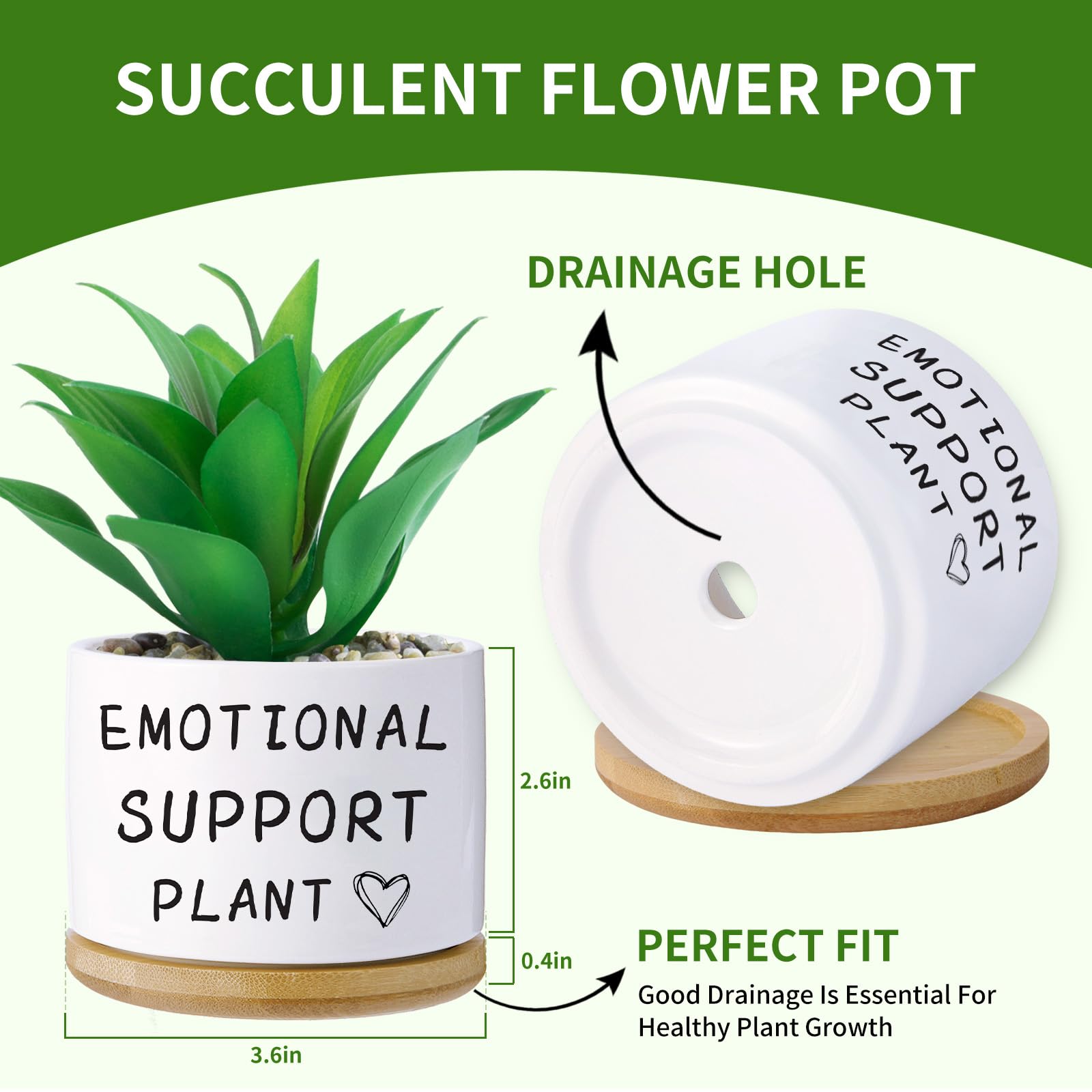 Haooxinwei pot with saucer included for tidy indoor setups.