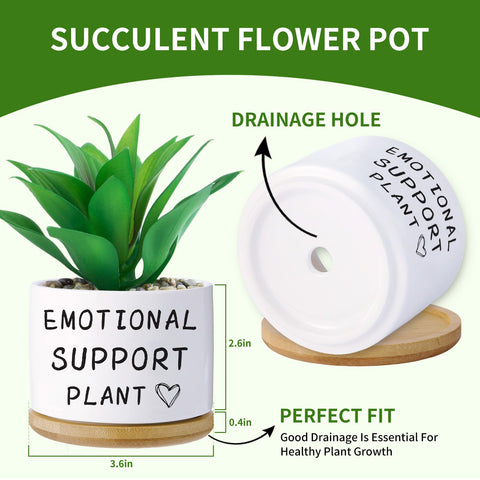 Haooxinwei pot with saucer included for tidy indoor setups.