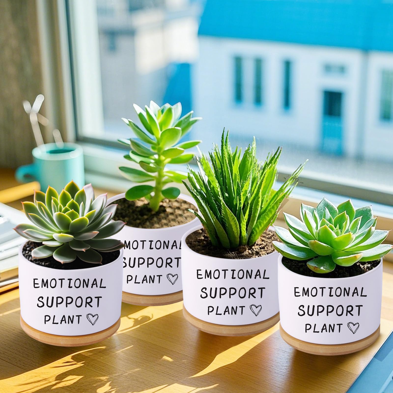 Haooxinwei gift-ready packaging makes gifting plant lovers effortless.