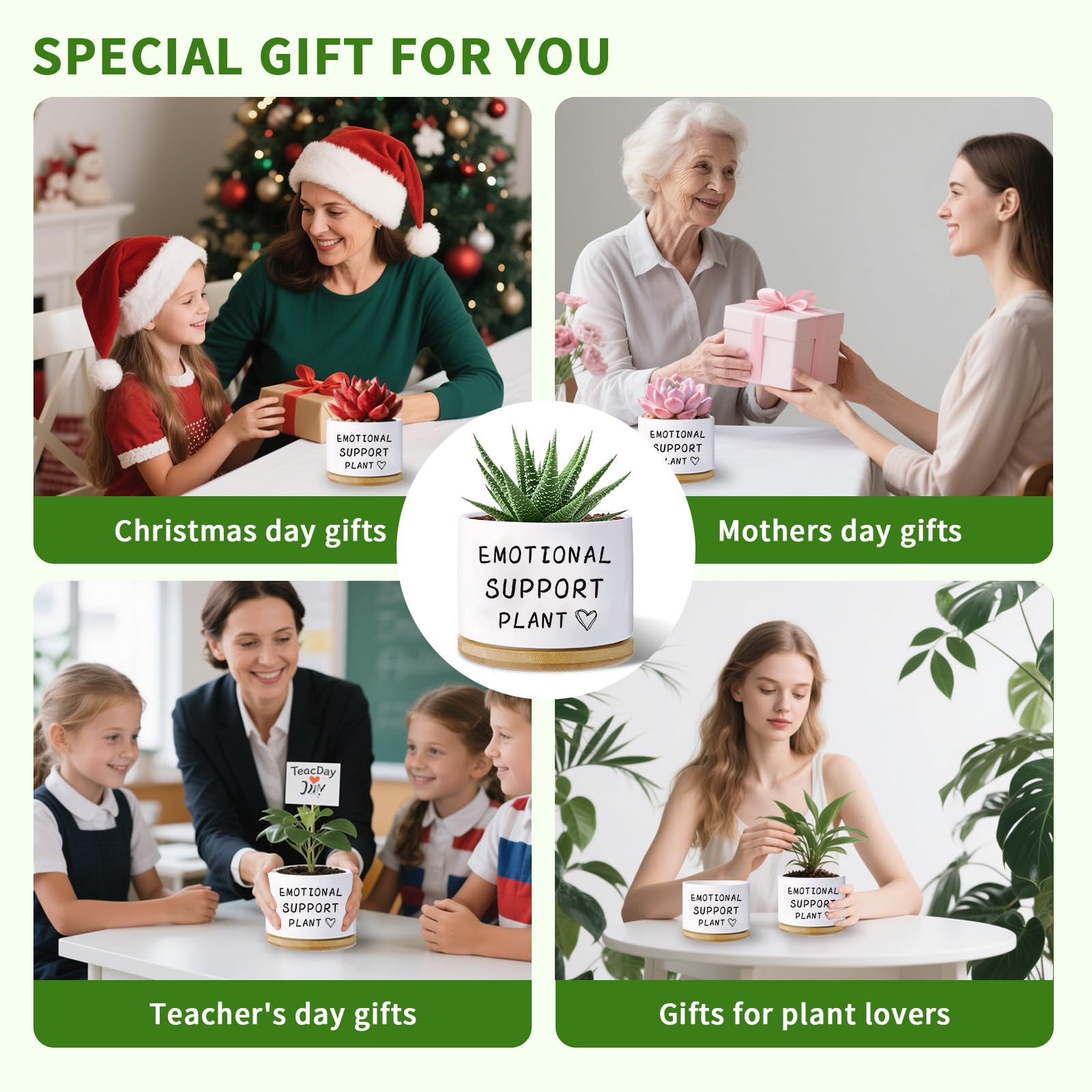 Haooxinwei no plants included label clarifies contents for easy gifting.