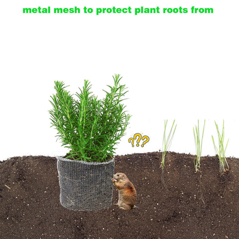 HAORESULT garden installation shows easy burying around root zones.