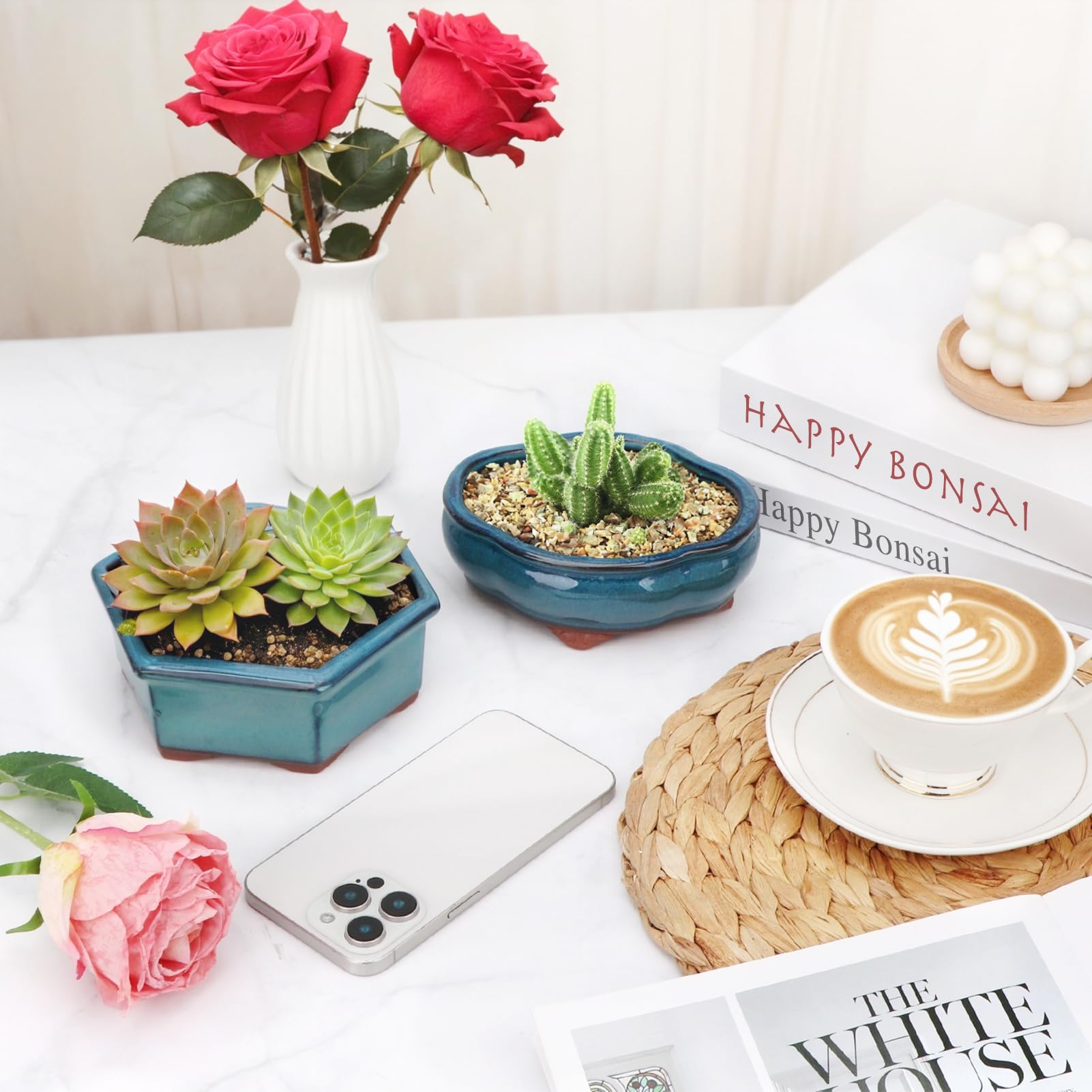 Indoor decor idea with Happy Bonsai planters for living rooms