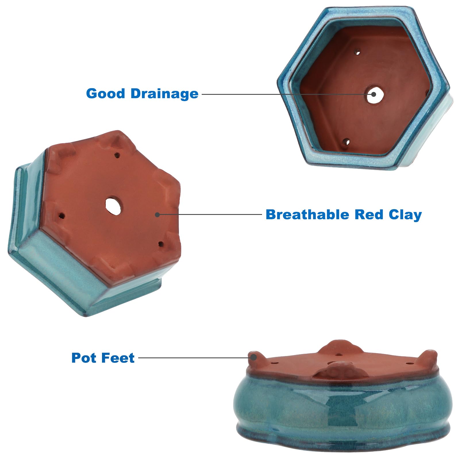 Gift-ready Happy Bonsai packaging for bonsai lovers
