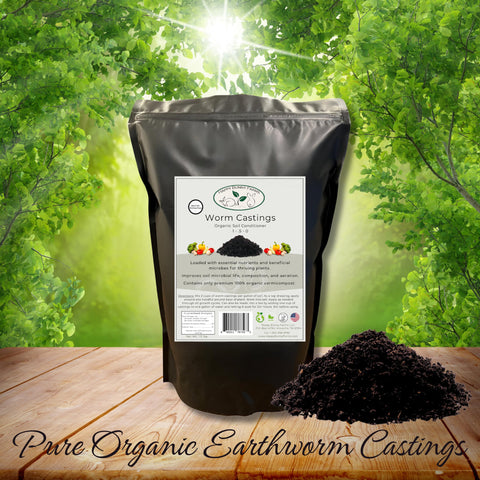 Happy Bunny Farms worm castings indoor-plants demonstrates versatile use in pots.