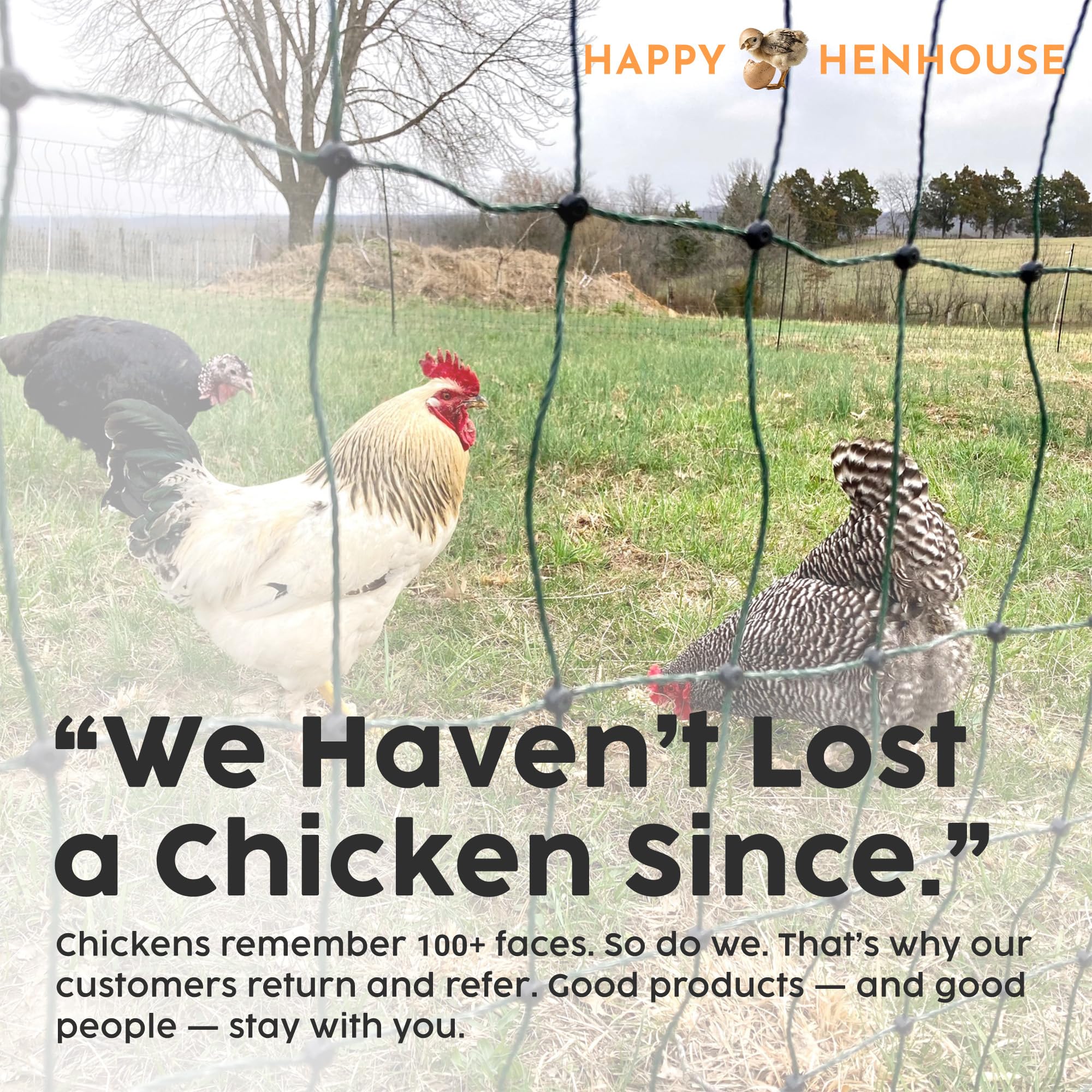 Happy Henhouse helps protect gardens and poultry habitats with responsible deterrence.