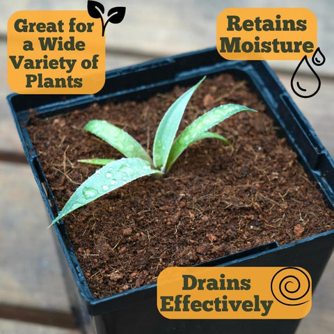 Happy Trees Coco Coir 9-quarts size keeps you stocked for pots and trays.