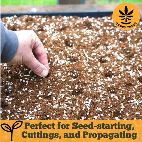 Happy Trees Coco Coir-Perlite 70/30 suitable for mushroom cultivation experiments