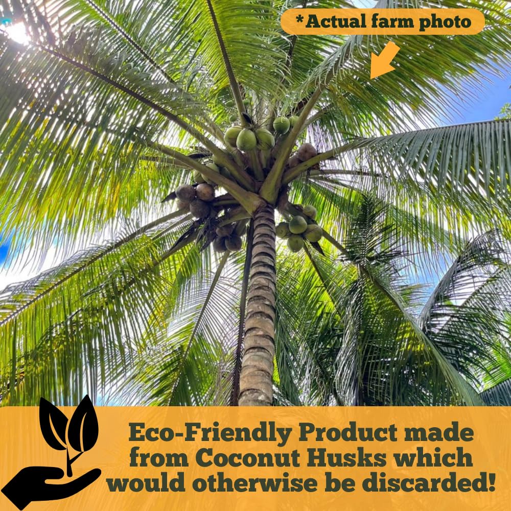 Happy Trees Coco Coir-Perlite 70/30 in pots ideal for container gardening
