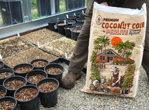 Happy Trees Coco Coir-Perlite 70/30 ready-to-use mix for quick planting
