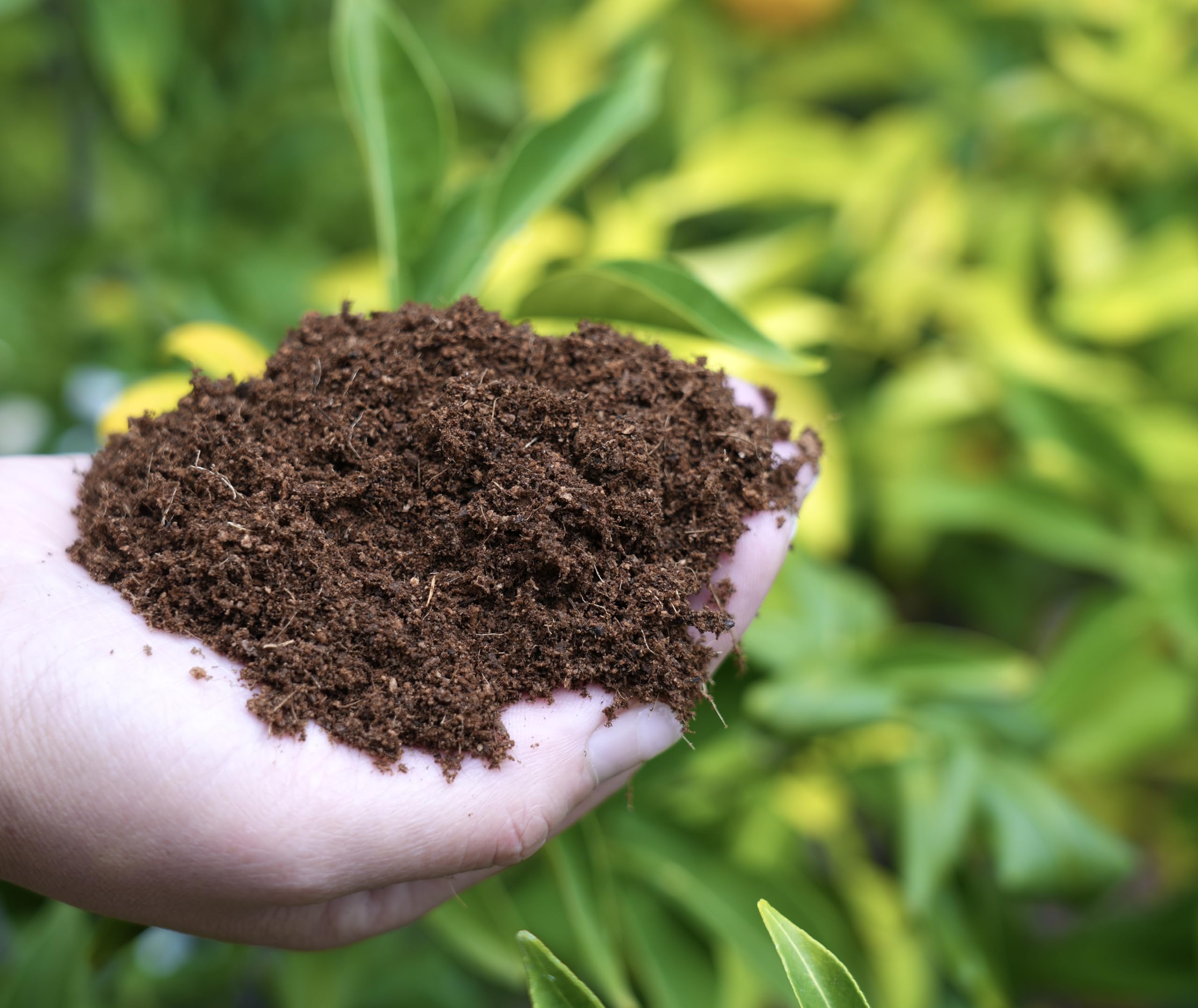 Happy Trees Coco Coir seed-starting mix supports germination with airy texture.