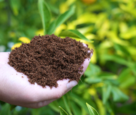 Happy Trees Coco Coir seed-starting mix supports germination with airy texture.