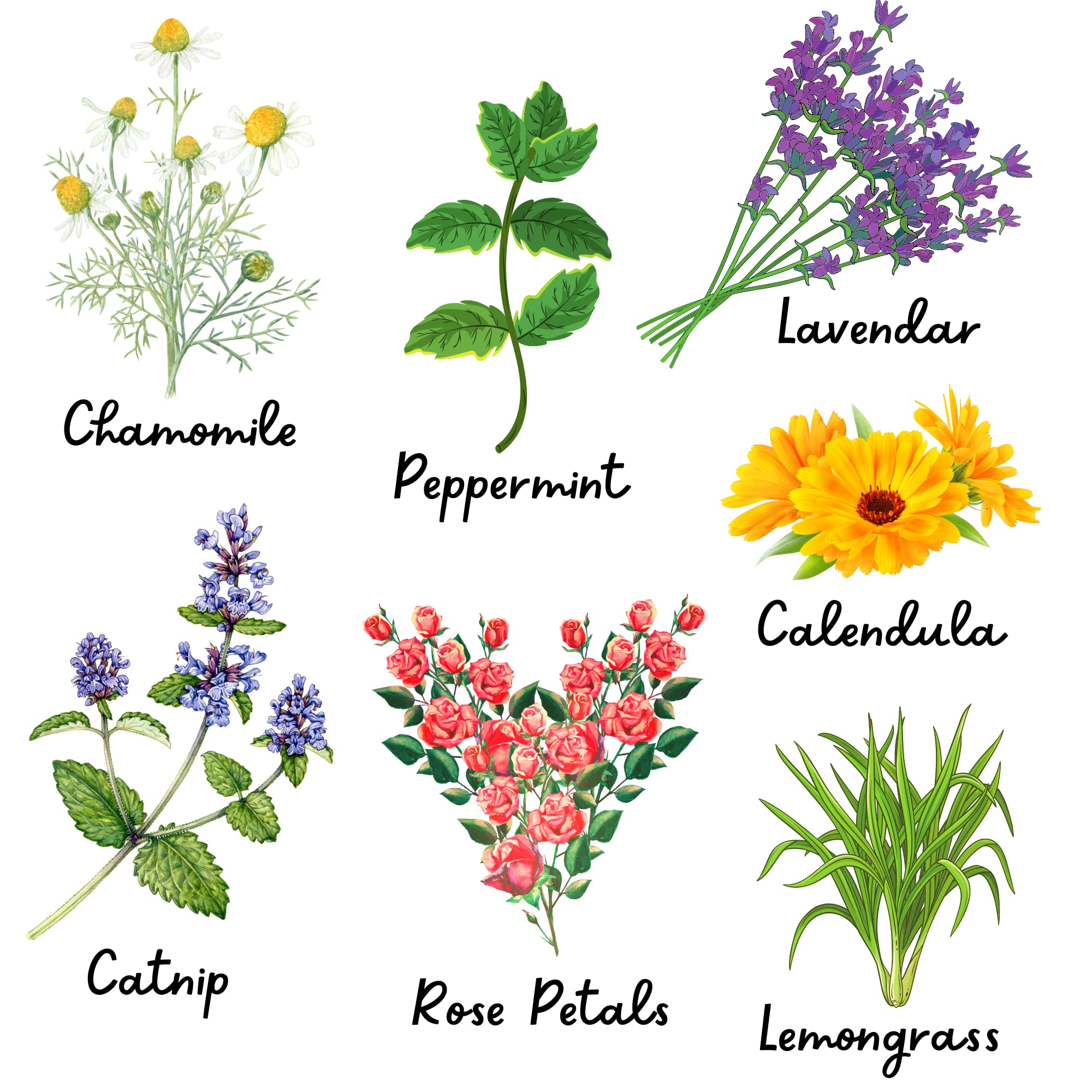 Herbs spread around the coop to freshen nesting areas
