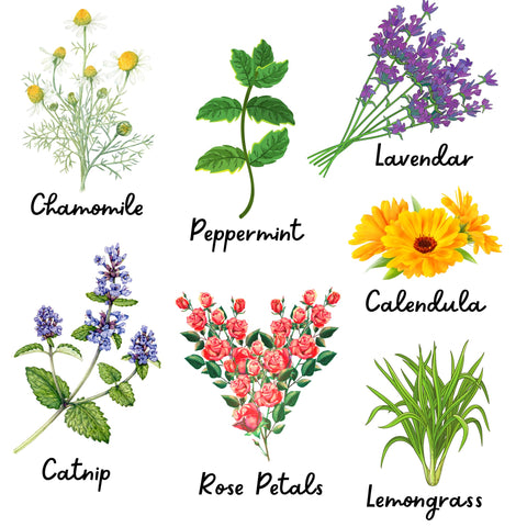 Herbs spread around the coop to freshen nesting areas