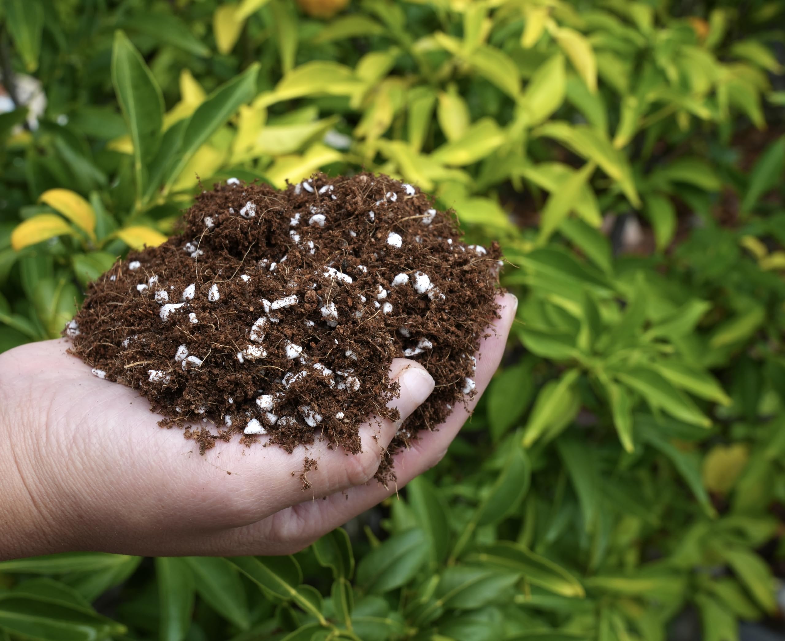 Happy Trees low-dust aroma improves handling during garden setup.